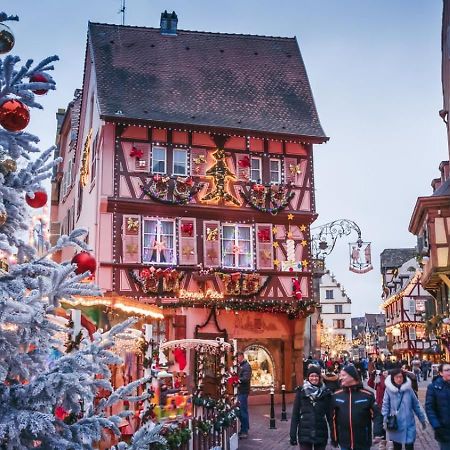 Le Rosacker - Proche Centre Ville Et Gare - Terrasse - Parking Gratuit 2 Places - 2 Chambres - 2 Salles De Bain - Netflix Colmar Buitenkant foto